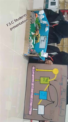 Innovative Zoology Models by FSC Students in Sialkot