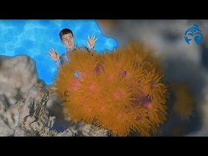 What is Coral? | Brain Waves Episode 2