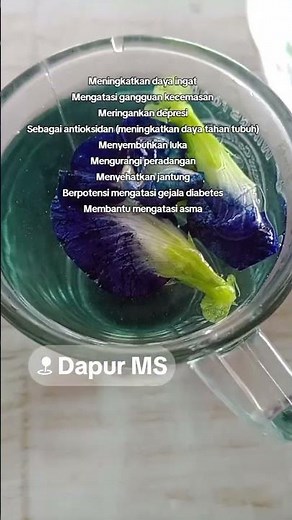 Inilah manfaat bunga telang