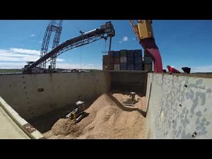 m/v Hollandia loading woodchips in Sheet Harbour