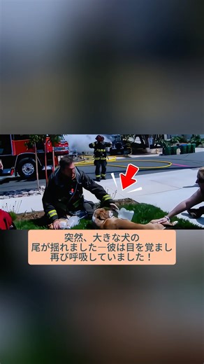 消防士が燃えている家から意識不明の2匹の犬を救出 #犬 #犬救出 #犬感動 #犬勇気 #犬動画