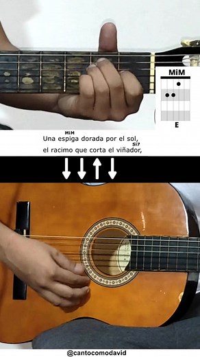 Una espiga dorada por el sol - Tutorial de guitarra