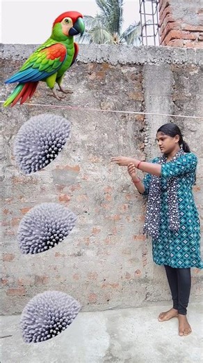 Rounding White Kadambas to Duck, Pigeon, Peacock & Parrot - Birds names magic video #ganesh #laxmi