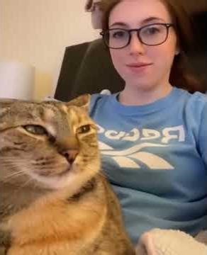 Dumb Cats being dumb, what's new? #cat #pets #memes #funny #animals #cute #funnycats #cutecat #humor