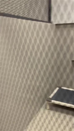 Every large kennel on the floor is full!!! Come down and see all of our available dogs. We are running a special throughout all of October and all large breed dogs are only $50. We hope to see you tomorrow! | Yakima Humane Society