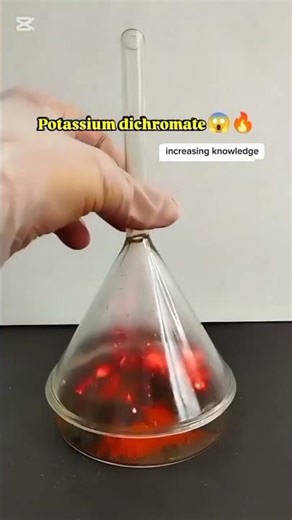Amazing Potassium Dichromate Experiment! 🔥 #Chemistry
