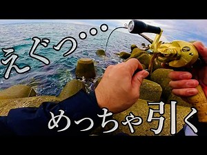 【穴釣り】大物シーズン到来！？釣り開始早々、えげつない引きが…。