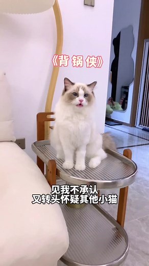 当我偷偷拿走猫咪藏的小鱼干😅