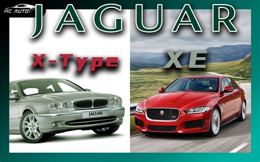 小豹子的坎坷路 XE:我谢你啊~~