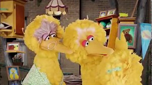 3.5K views · 105 reactions | Big Bird and Granny Bird share their...