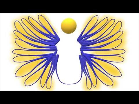 2nd Timothy Amplified Bible