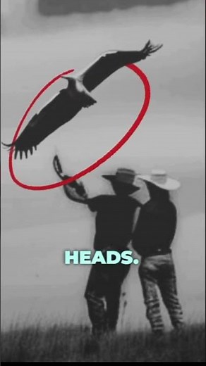 Thunderbird: The Giant Bird that Created Thunderstorms #AmericanMythology #cryptids