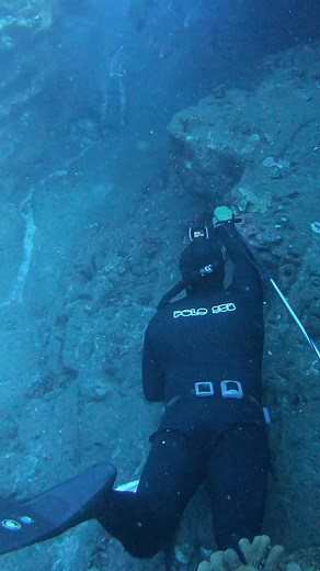 14M views · 285K reactions | Giant Fish on Hand Spear! #spearfishing #fishing | Ryan Myers Spearfishing | Facebook