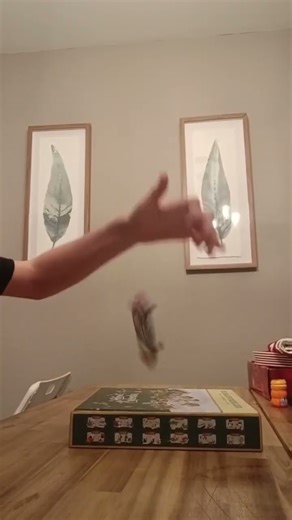 Day 14 of doing fingerboard tricks every day until Xmas