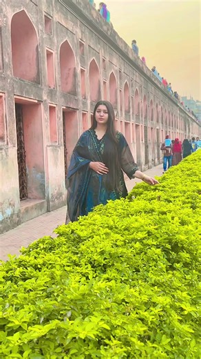 Exploring TikTok Creator Insights and Duets