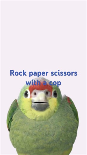 Rock paper scissor with a cop #car #car #dance #music #popmusic #cool #funny #cops