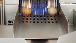 Washing section consists of two oppositely rotating brushes per each egg row. The MT-1 machine has four brushes. Water circulates in a closed circuit, the operator can change the water at any moment shall he decide it is dirty or a broken egg is in the water. The washer operates in a closed water circuit, which allows for its optimal use and reduces costs. Capacity: max 3 200 eggs/hour | INOVA International | Facebook