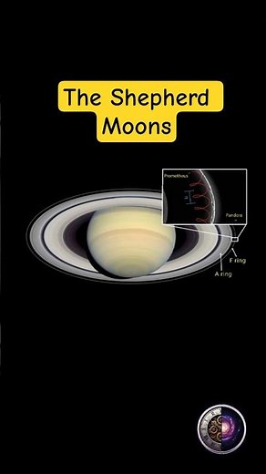The Shepherd Moons of Saturn