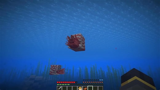 EVERYTHING ABOUT THE NAUTILUS + NEW VARIANTS IN THE NEW MINECRAFT UPDATE! #wattles #new #viral #video #minecraft #gaming | Wattles Gaming | Facebook