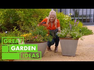 How to Grow AUSTRALIAN Natives | GARDEN | Great Home Ideas