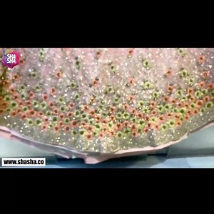 1.7M views · 6.4K reactions | Buy Here -...