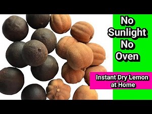 How to make Dried Lemon in instant/ without sunlight,Oven/ With English Subtitles