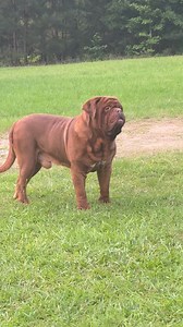 Yes sir | William Vine