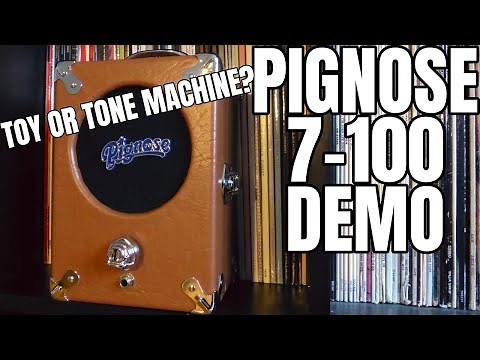 PIGNOSE 7-100 Demo/Review