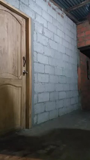 Manuel Despacito Original Video