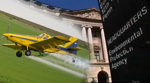 Weighing safety of weed killer in drinking water, EPA relies heavily on industry-backed studies