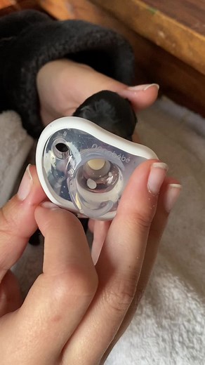 Puppy Pacifier: A Guide for Neonatal Puppies and Fostermoms