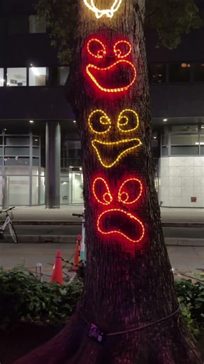 Free Christmas Illuminations on Peace Boulevard | Hiroshima Winter Night Walk #japantravel