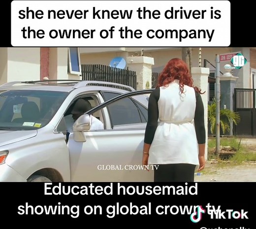 The Housemaid: Discovering the Owner's Secret