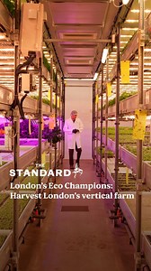 3.1K views · 18 reactions | As #COP29 kicks off in Azerbaijan, we're highlighting some of London's Eco Champions. The London Standard visited Harvest London's farm in Leyton to find out the benefits vertical farming can have on the environment. | London Evening Standard | Facebook