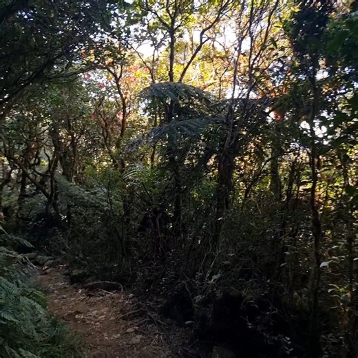 LOOKING FOR SURE JOINERS MAY 10-11, 2025 // SAT-SUN MAY 17-18, 2025...