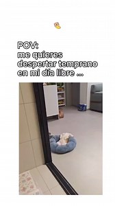 藍藍藍 | Not My Problem | Facebook