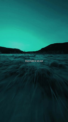 Völlig losgelöst: Die besten Musik-Lyrics