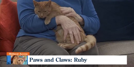 Pet of the Week: Ruby