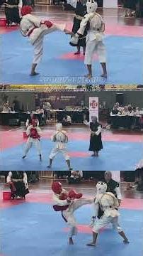 Masuk Bersih! Tendangan Ini Bikin Shock #kempo #shorinjikempo #martialarts
