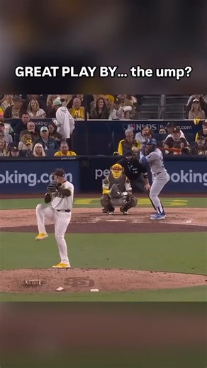 1.9K views | Funny Baseball Memes on Reels | Facebook