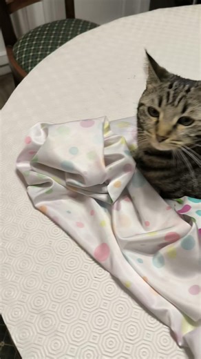 quand la Globule t'aide au quotidien , à plier la nappe ou secouer les plaids...