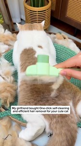 5.1K views · 80 reactions | Say Goodbye to Tangles! ✨ Ultimate Self-Cleaning Pet Grooming Comb Get now : https://clotheria.com/products/cat-dog-comb-open-knot-hair-removal-artifact-pet-self-cleaning-comb-row-comb-hair-massage-knot-hair-removal-special-grooming | Cat lovers | Facebook
