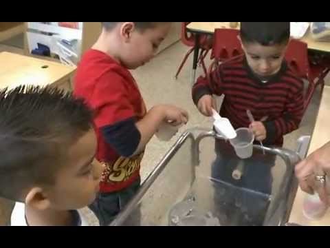 Focused Observations Chapter 5 Video 14