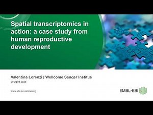Spatial transcriptomics in action a case study from human reproductive development