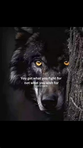 hessie (@3140hessie)’s videos with This Is My Fight Song - leiajatah