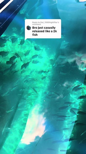 Colorful Exotic Fish Compilation Video