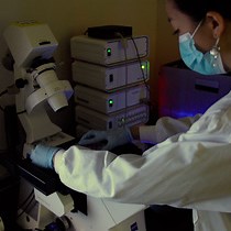 Video: Hepatic Progenitor Specification from Pluripotent Stem Cells using a Defined Differentiation System