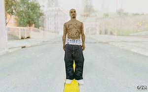 Gta San Andreas Skin Mod Installer Pc Download