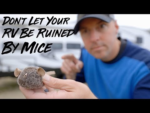 How To Keep Mice And Pest Out Of Your RV.