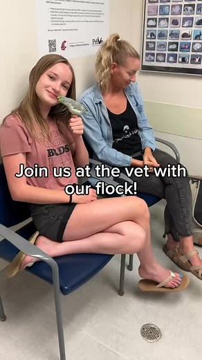 BirdTricks on Instagram: "We love our vets at @wsuvetmed! They take the time to form a positive relationship with our birds through treat giving and patience. Having some of our flock trained to accept toweling and physical exams makes it less stressful on everyone. We always get a physical exam annually as well as a CBC blood panel done so we can ensure we are giving our birds everything they need to live a happy, healthy life with us! #vet #bird #parrot #birdtricks #pet"